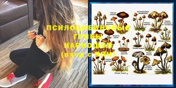 бошки Верхний Тагил