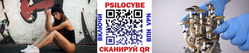 Псилоцибиновые грибы Cubensis  kraken сайт  Туймазы  как найти закладки 